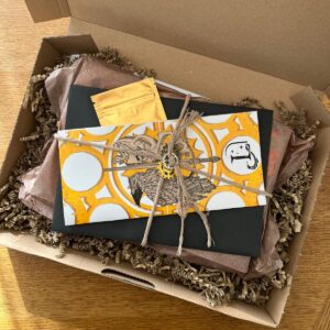 BOX Peste soit des Lutins - Broché